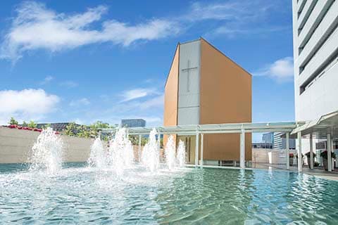 ライン友達限定 ヒルトンウエディングプラン