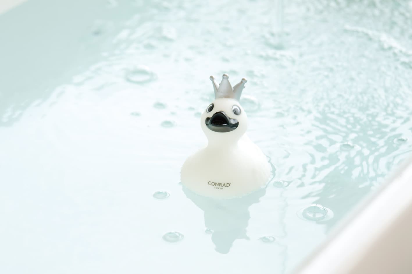 マタニティウエディングプラン